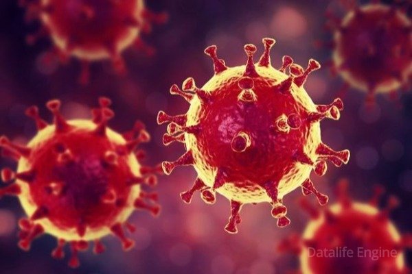 Alimlər: İyunadək koronavirusa qalib gəlmək mümkün olmayacaq