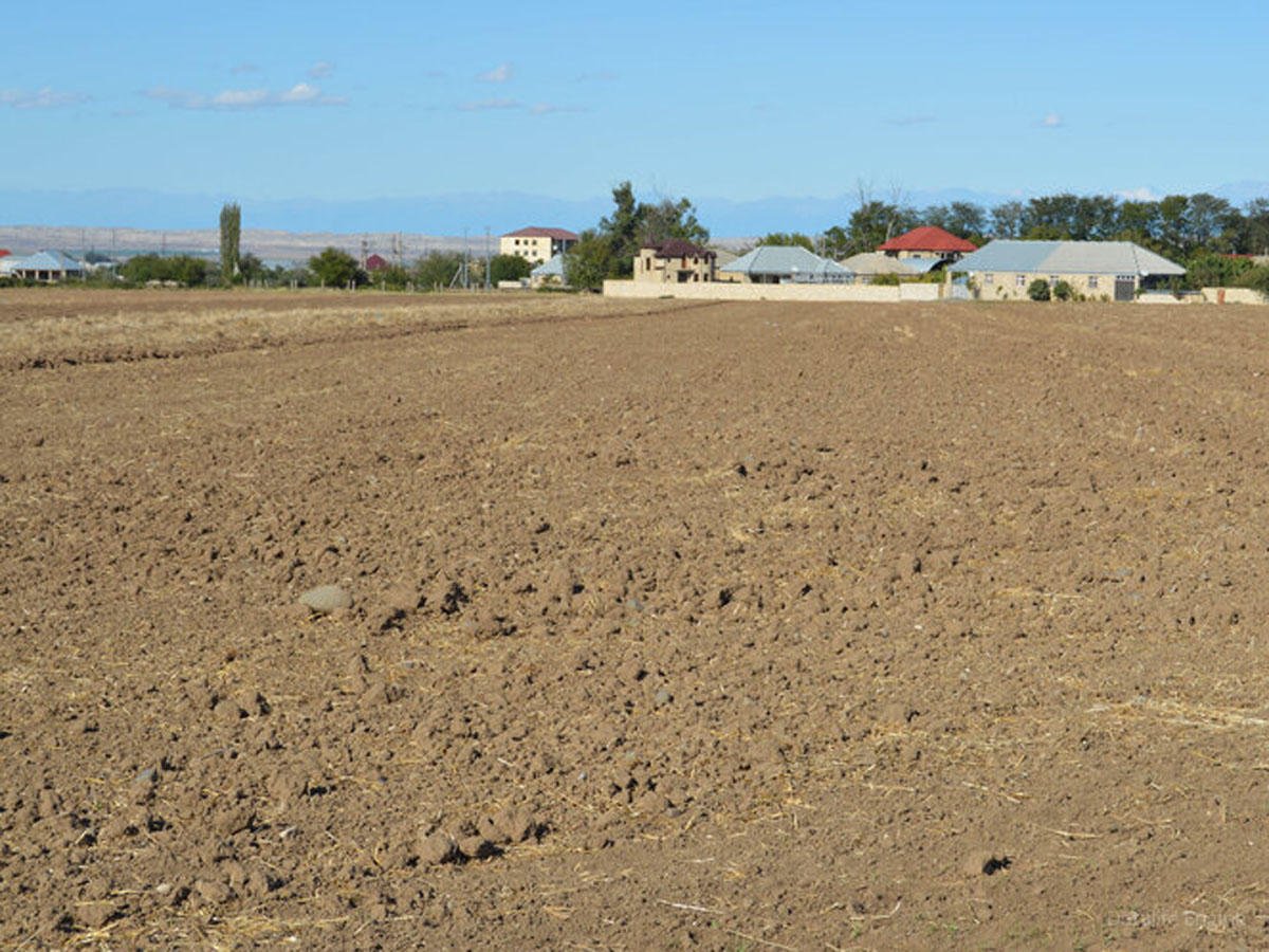 Bələdiyyələrin qanunsuz verdiyi 2400 hektardan çox torpaq sahəsi geri qaytarılıb - Nazirlik