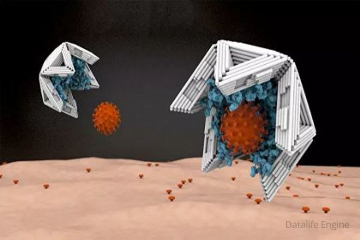 Virusları tələyə sala biləcək nanokapsulalar - ALİMLƏR BUNU DA ETDİ