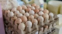 Yumurta bahalaşdısa, narahat olmağa dəyər? - Bazarımızın "indikatoru"
