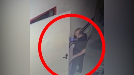 Bakıda həkimləri qarət edən kameralara düşdü