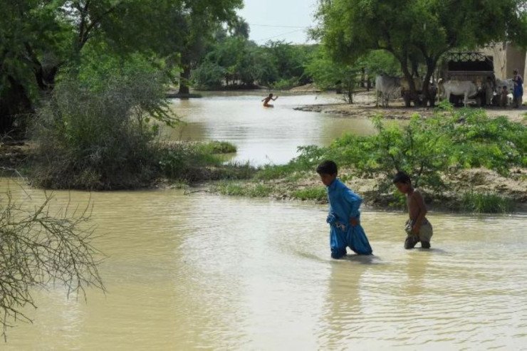 Pakistanda yağışlar 800 nəfərin həyatına son qoydu