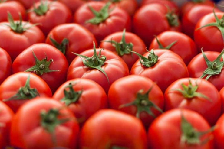 Siqaret çəkənlərin NƏZƏRİNƏ: Yerkökü və pomidor yeməyin